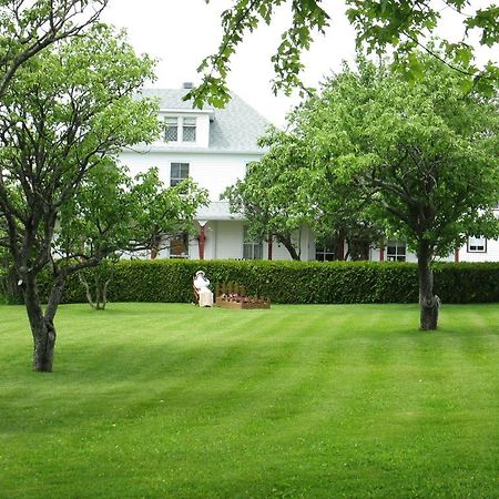 Gite Les Acres Tranquilles B&B Port-Daniel エクステリア 写真