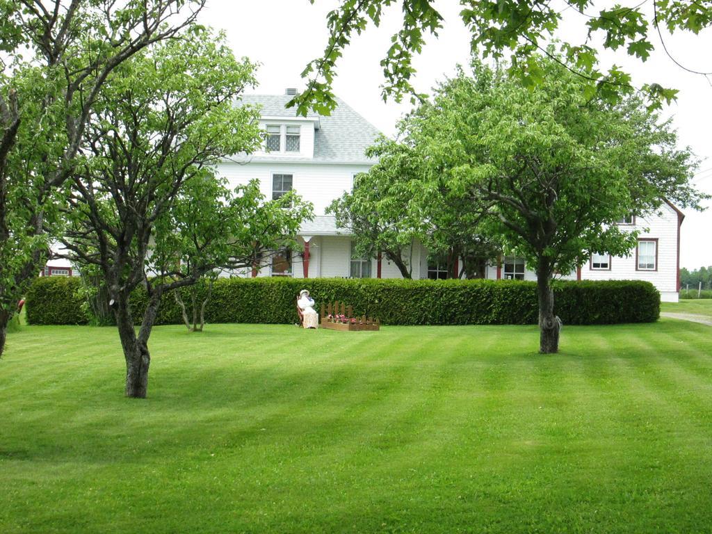 Gite Les Acres Tranquilles B&B Port-Daniel エクステリア 写真