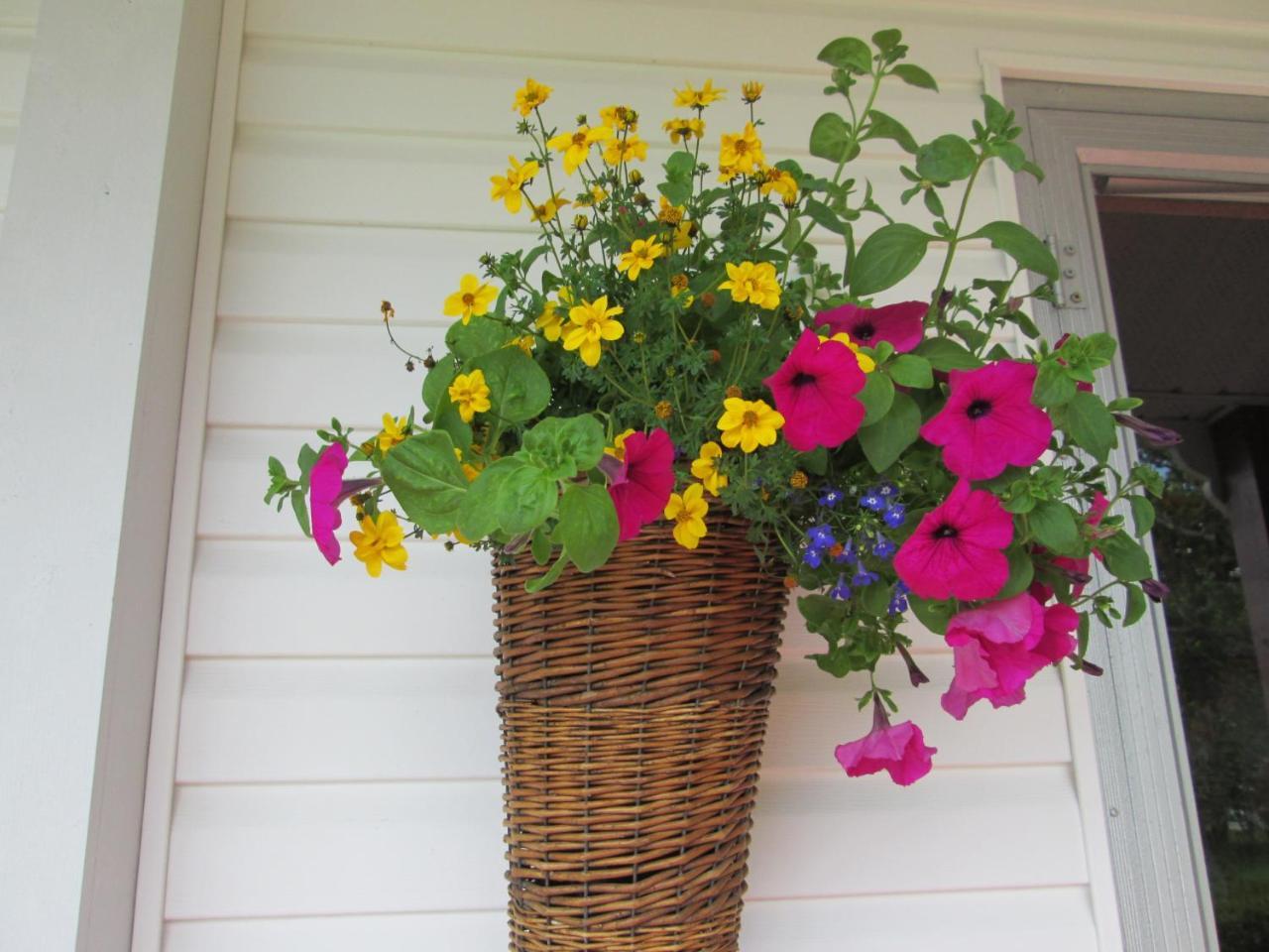 Gite Les Acres Tranquilles B&B Port-Daniel エクステリア 写真