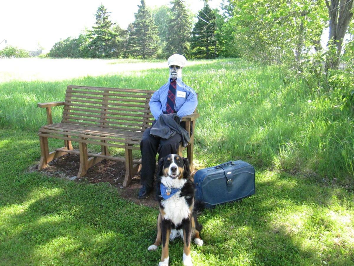 Gite Les Acres Tranquilles B&B Port-Daniel エクステリア 写真